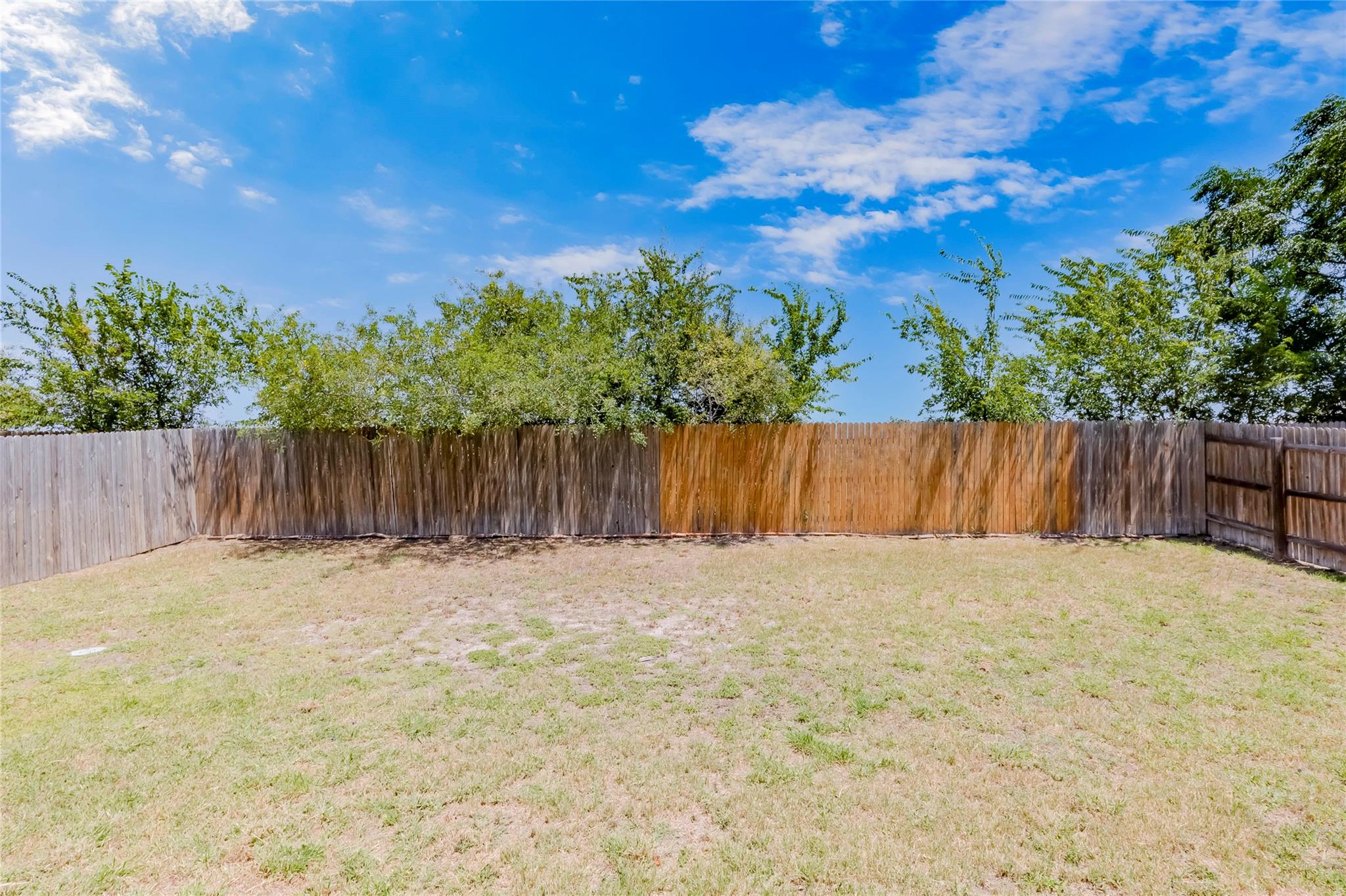 18313 Moreto Loop Property Photo 31