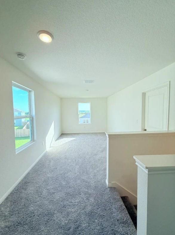 113 Blazilmar Ln E Property Photo 13