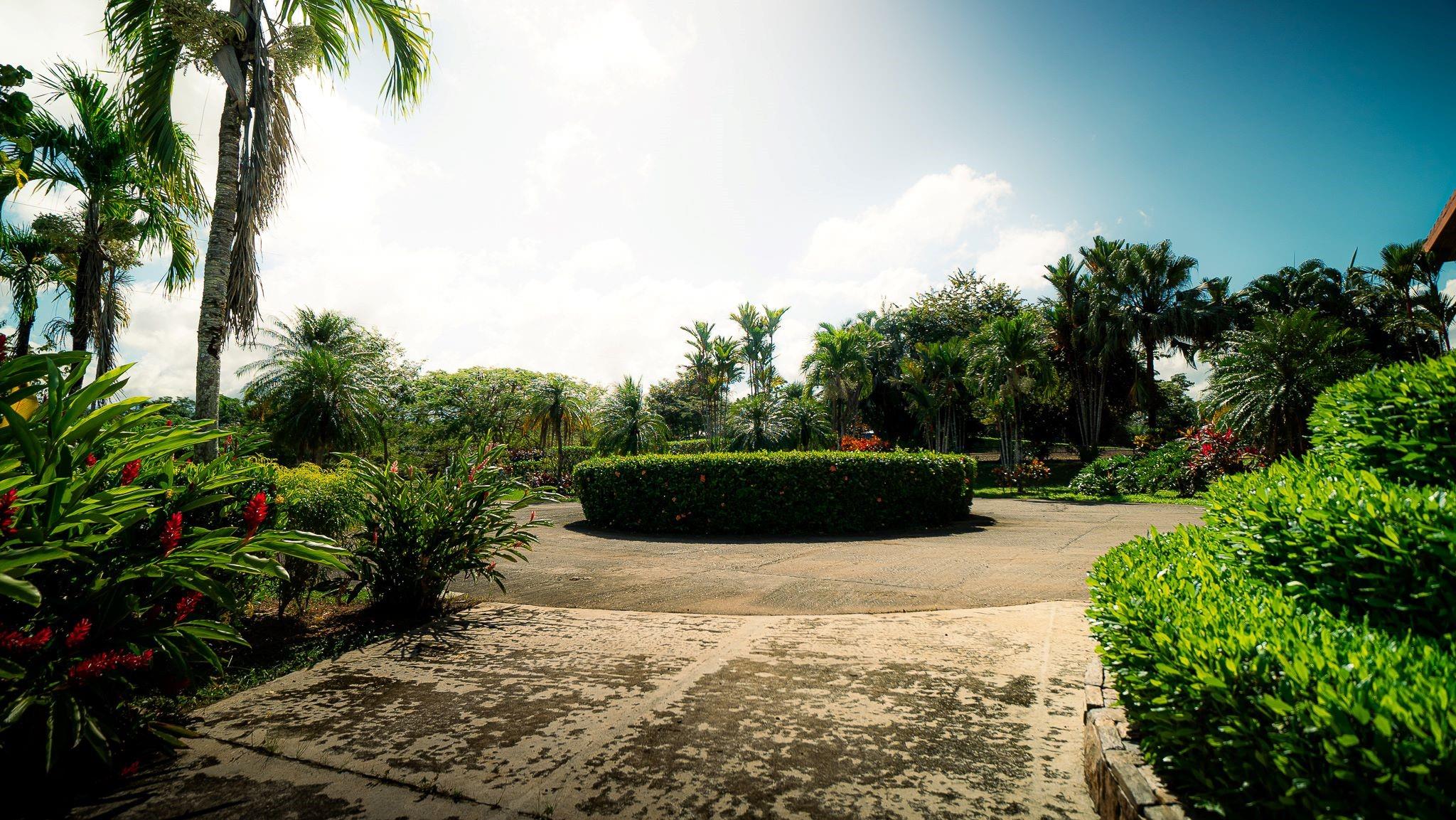0 Finca Sweet Prince Property Photo 4