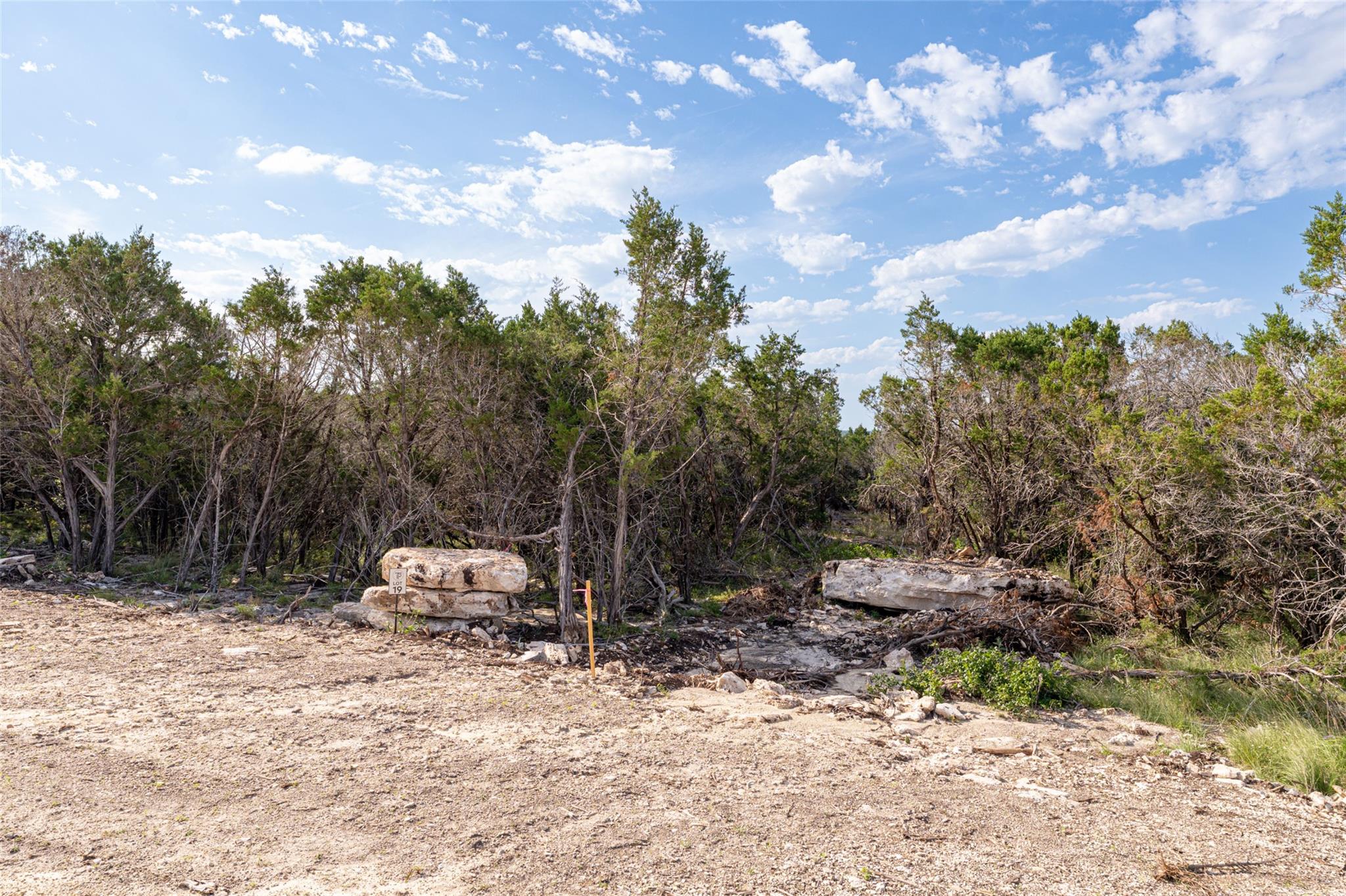 Tbd Tract 19 Hank Williams Way Property Photo 2