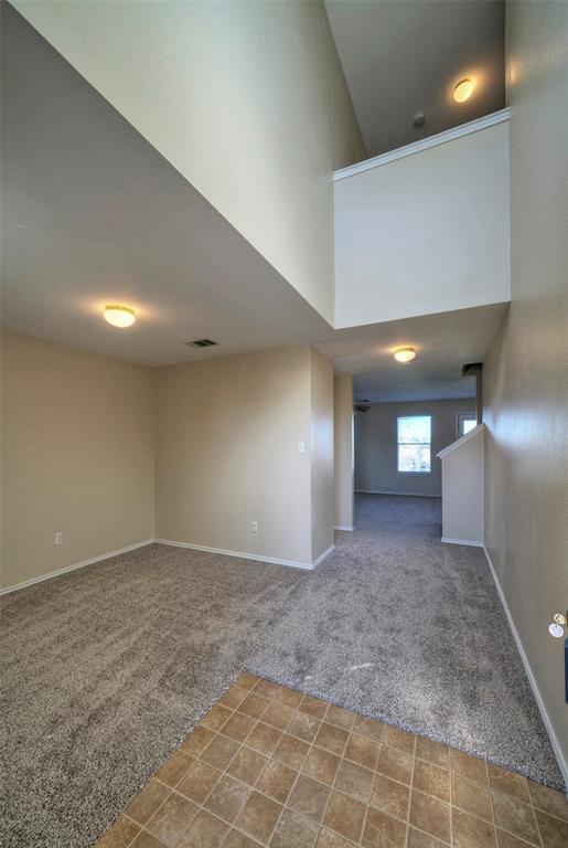257 Prairie Verbena Dr Property Photo 6