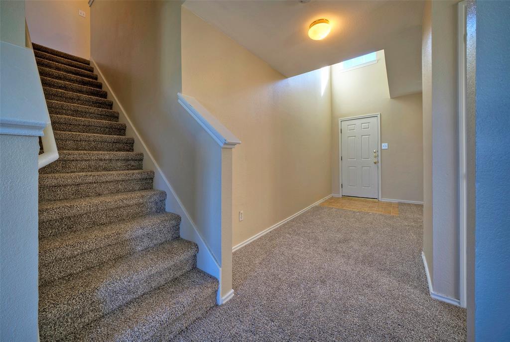 257 Prairie Verbena Dr Property Photo 19