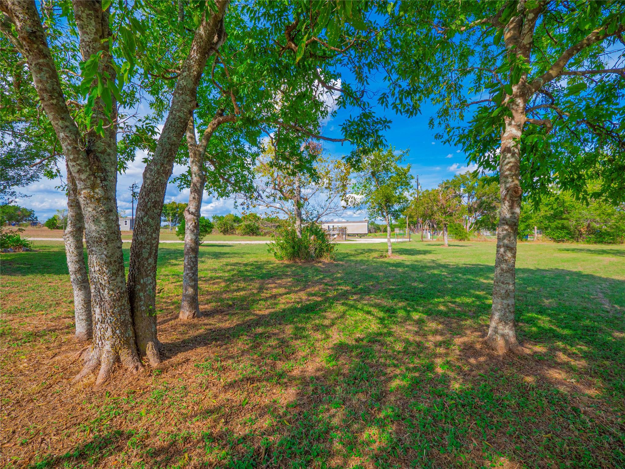 505 County Road 274 Property Photo 29