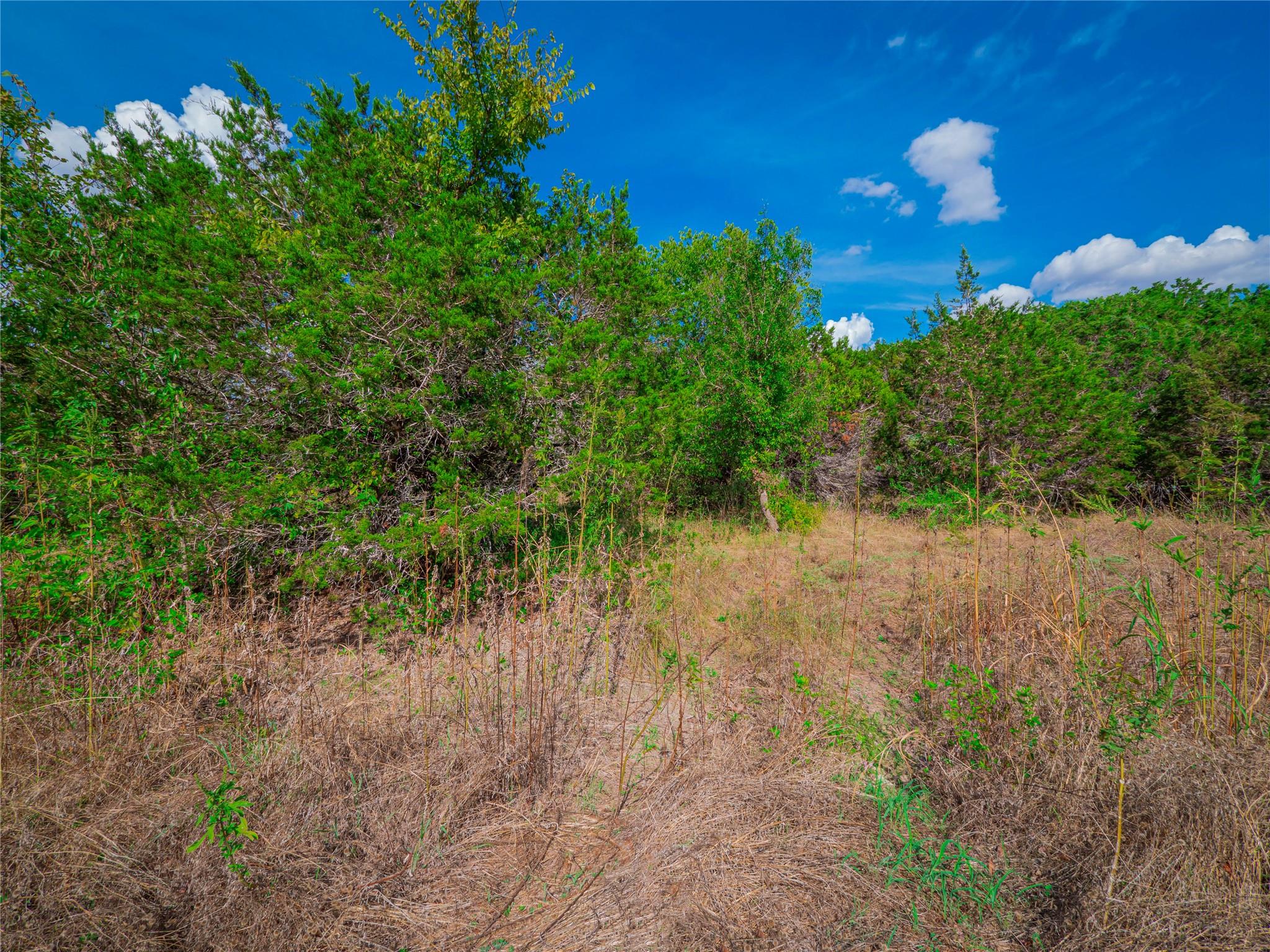 505 County Road 274 Property Photo 31
