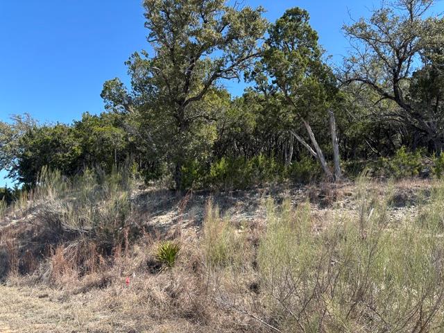 19001 Silver Maple Dr Property Photo 15