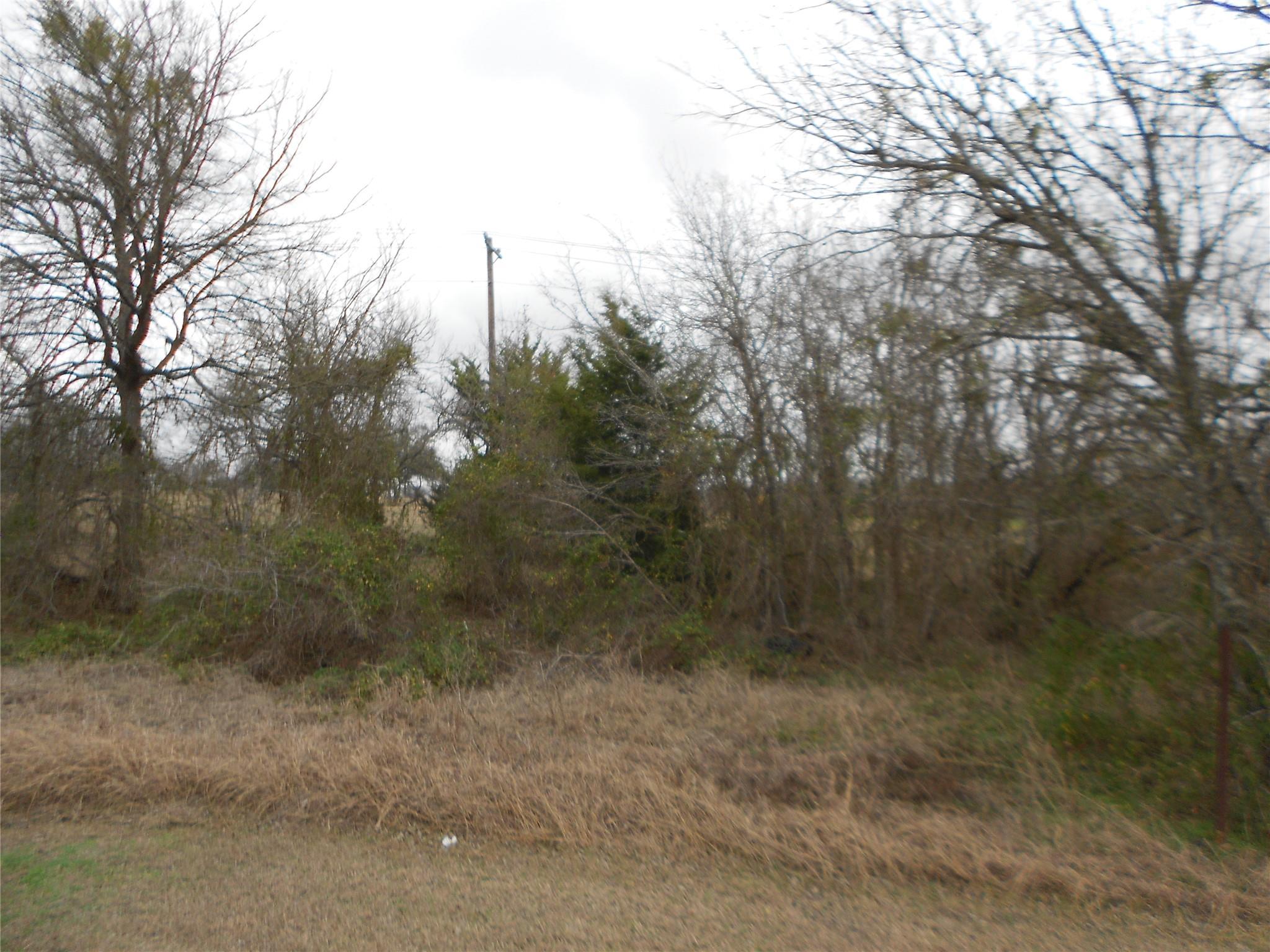 6612 Williamson Rd Property Photo 3
