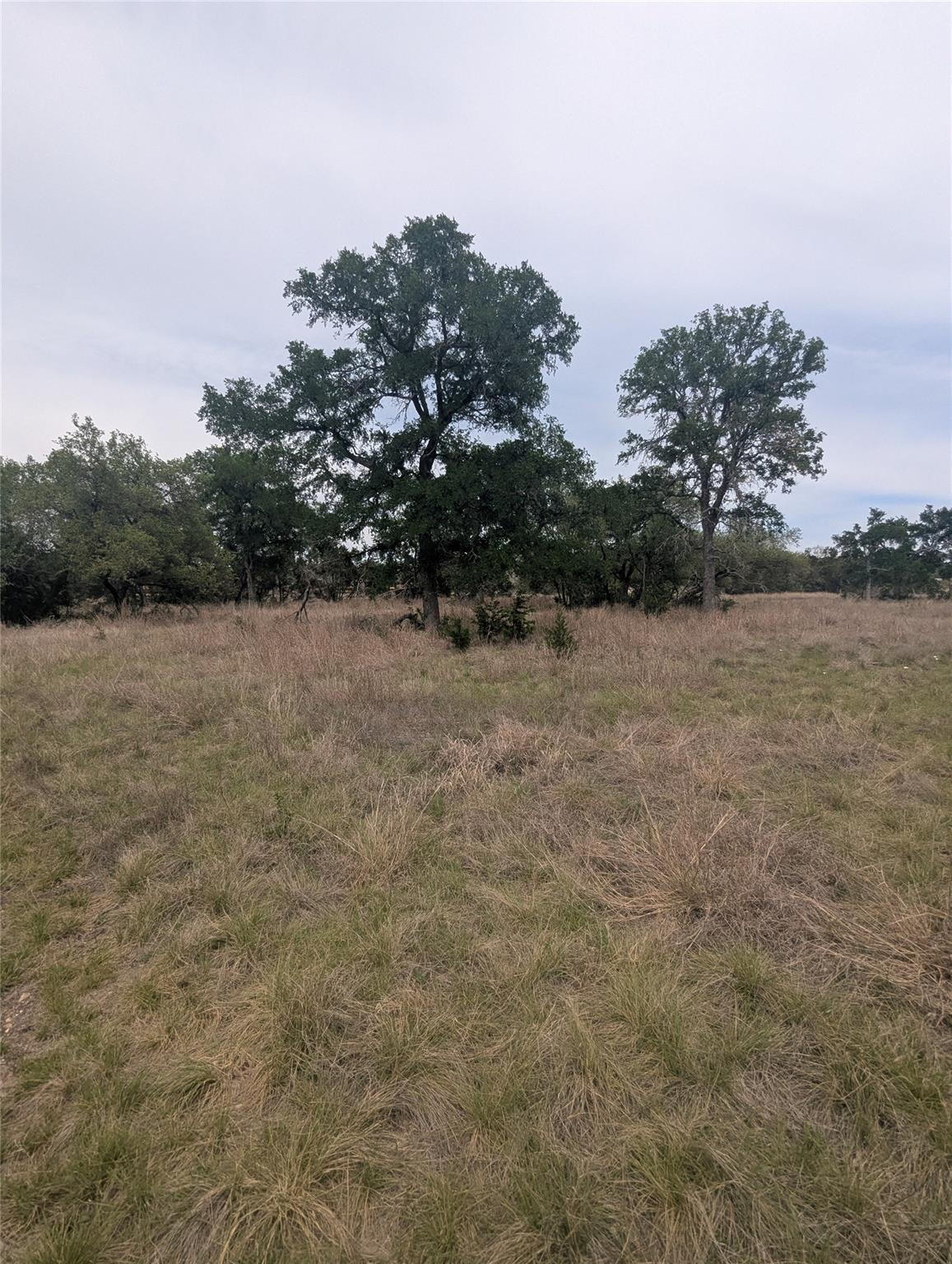 Lot 3 Bell Springs Rd Property Photo 3