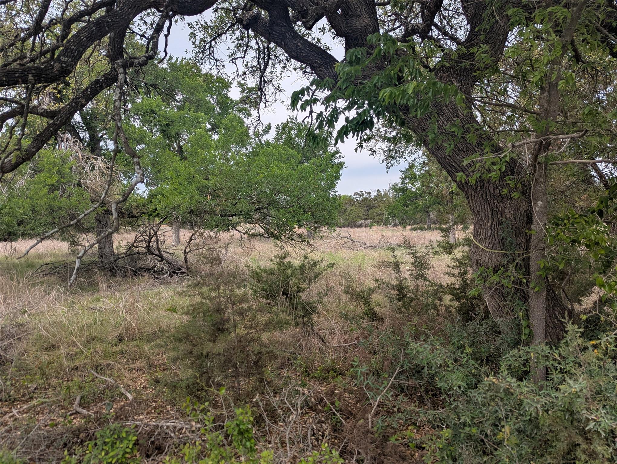 Lot 3 Bell Springs Rd Property Photo 21