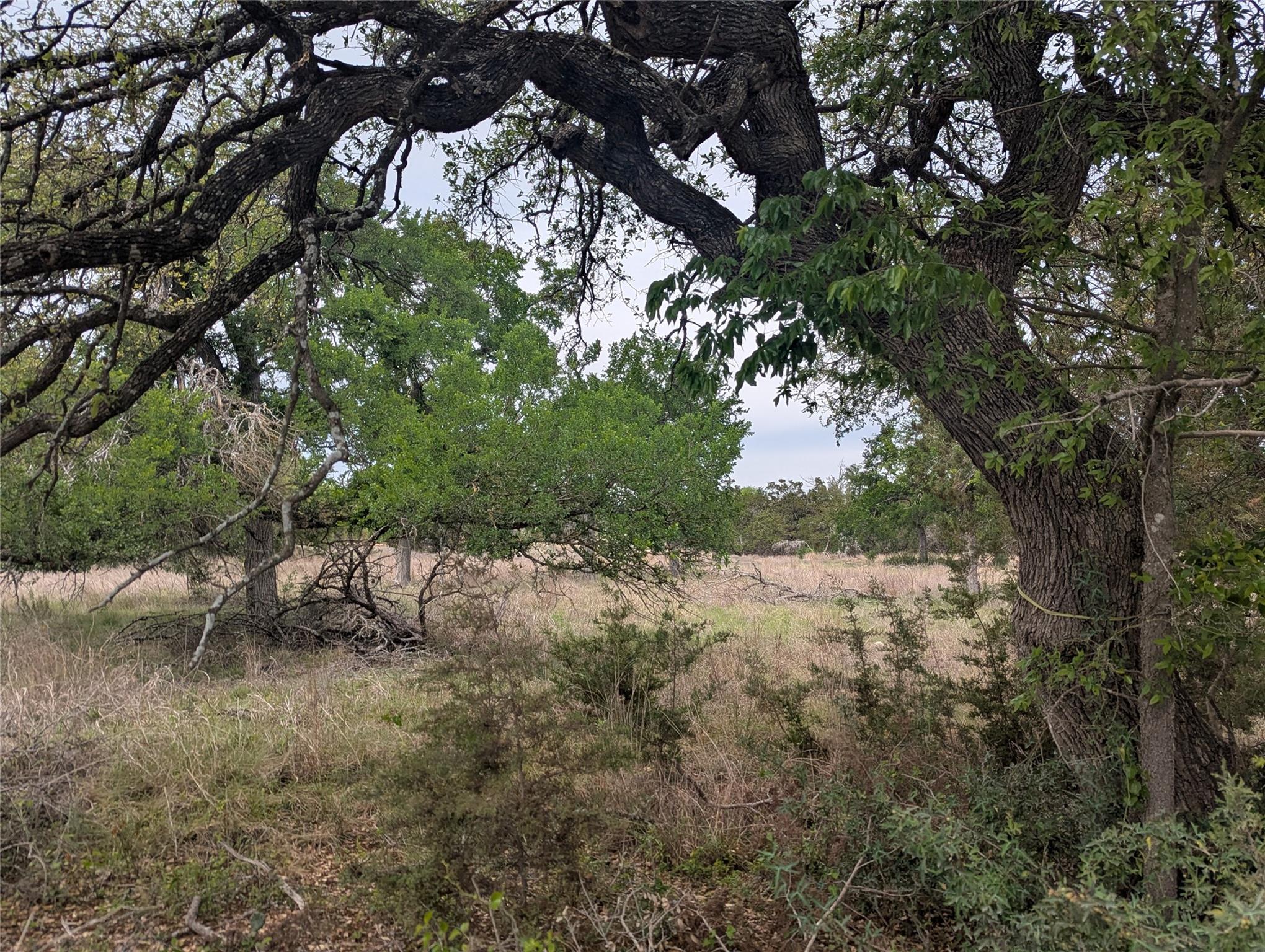Lot 3 Bell Springs Rd Property Photo 22