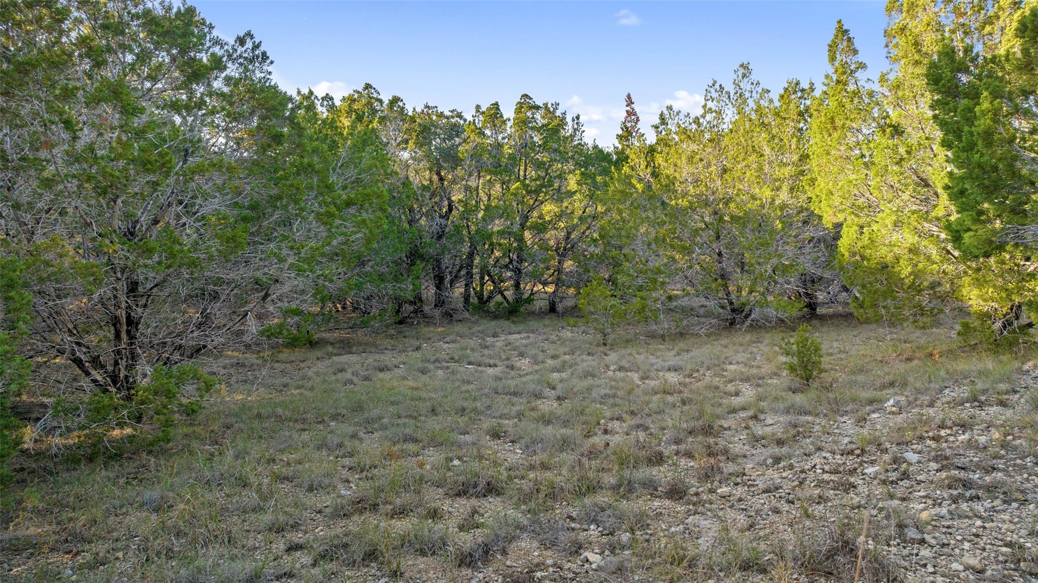 1001tbd Gregg Dr Property Photo 3
