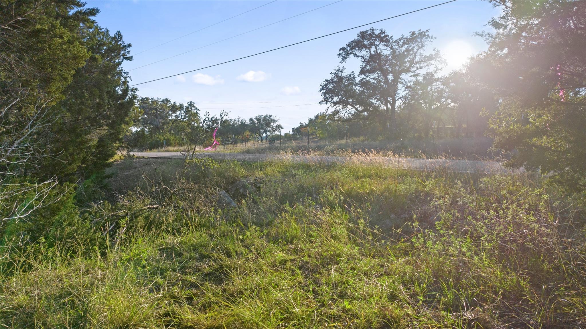 1001tbd Gregg Dr Property Photo 11