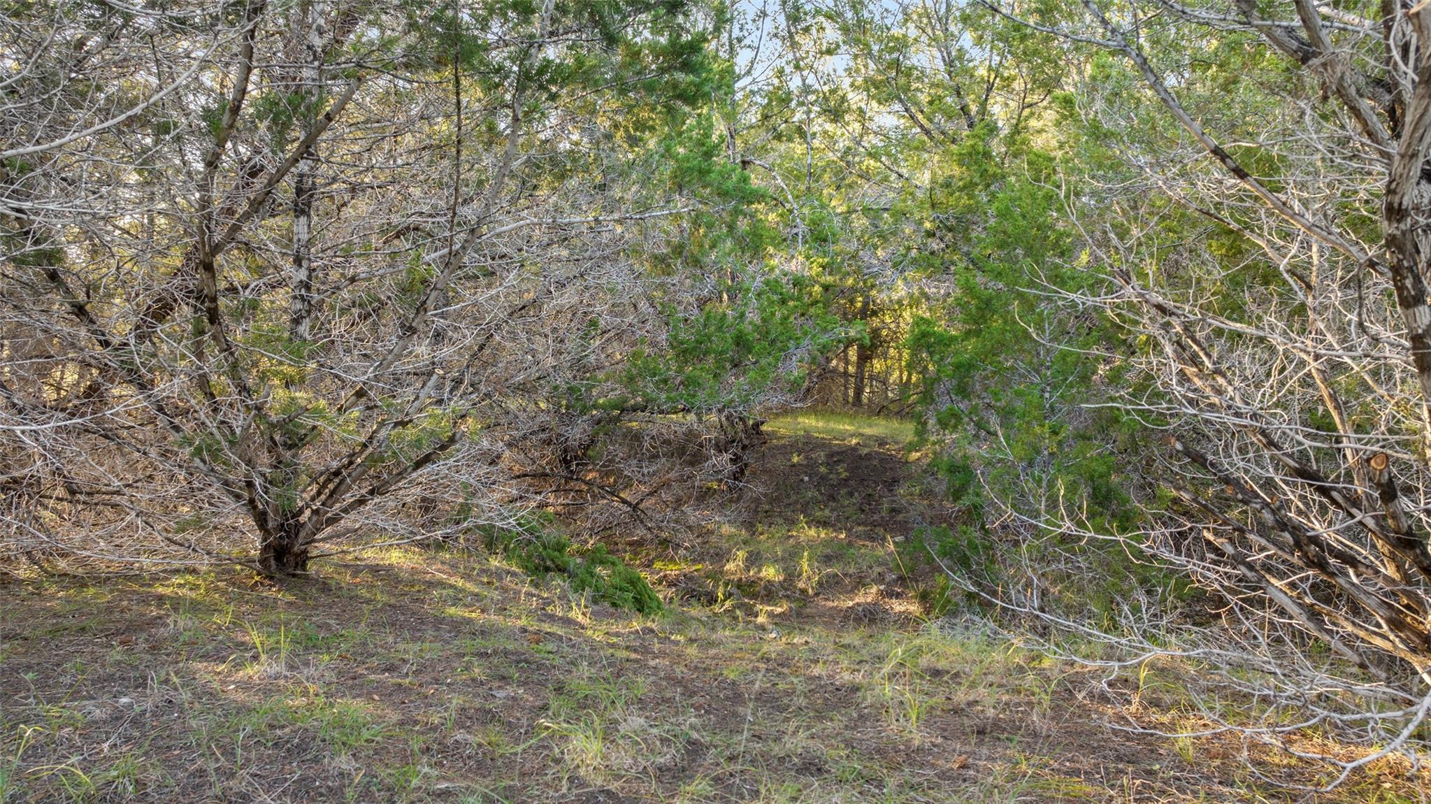 1001tbd Gregg Dr Property Photo 13
