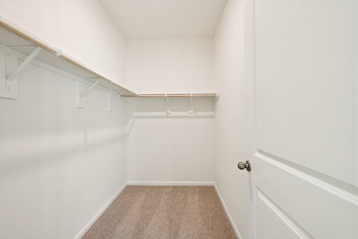 12824 Kentucky Warbler Dr Property Photo 14