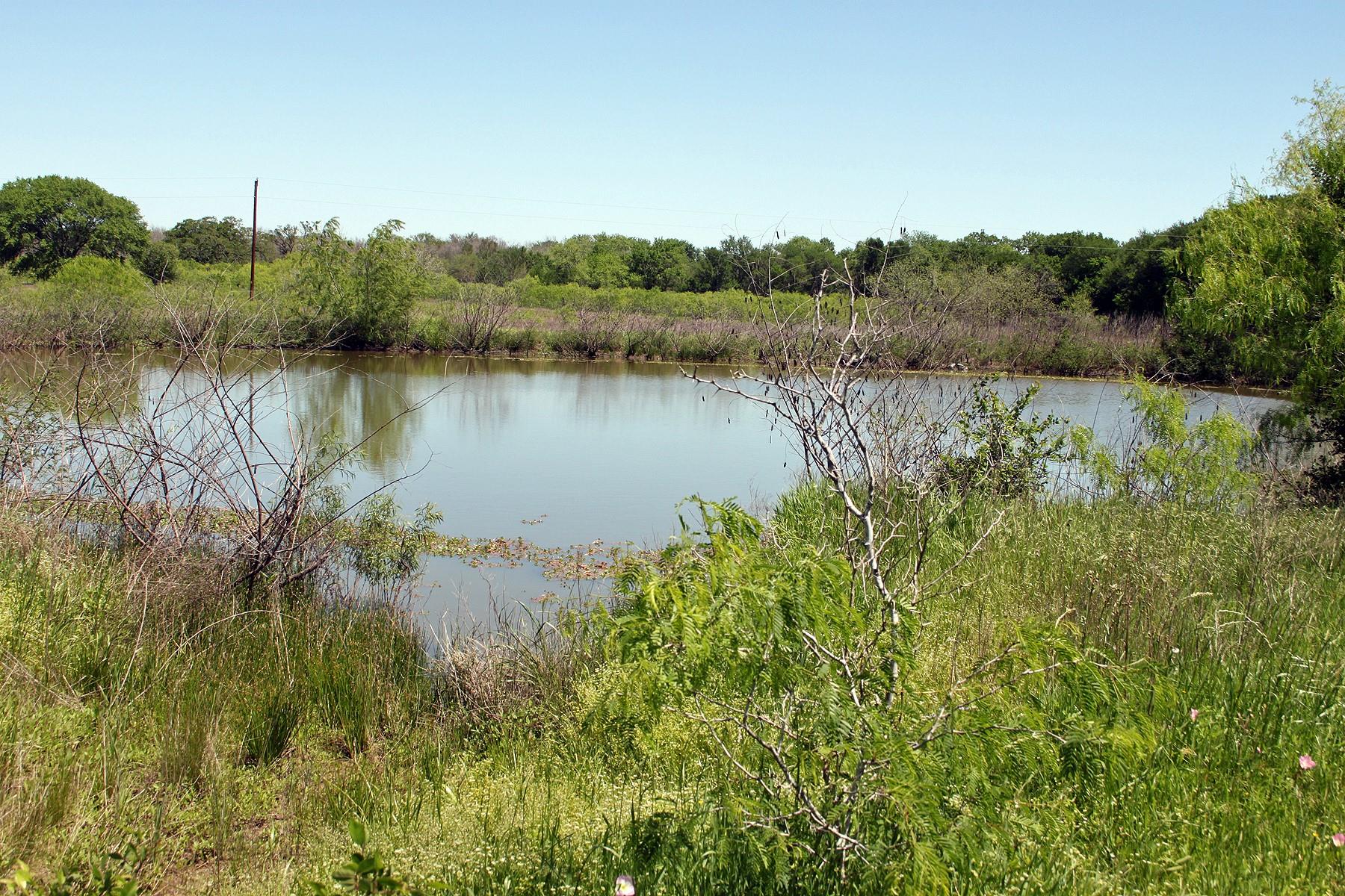 1023 Sierra Dr Property Photo 19