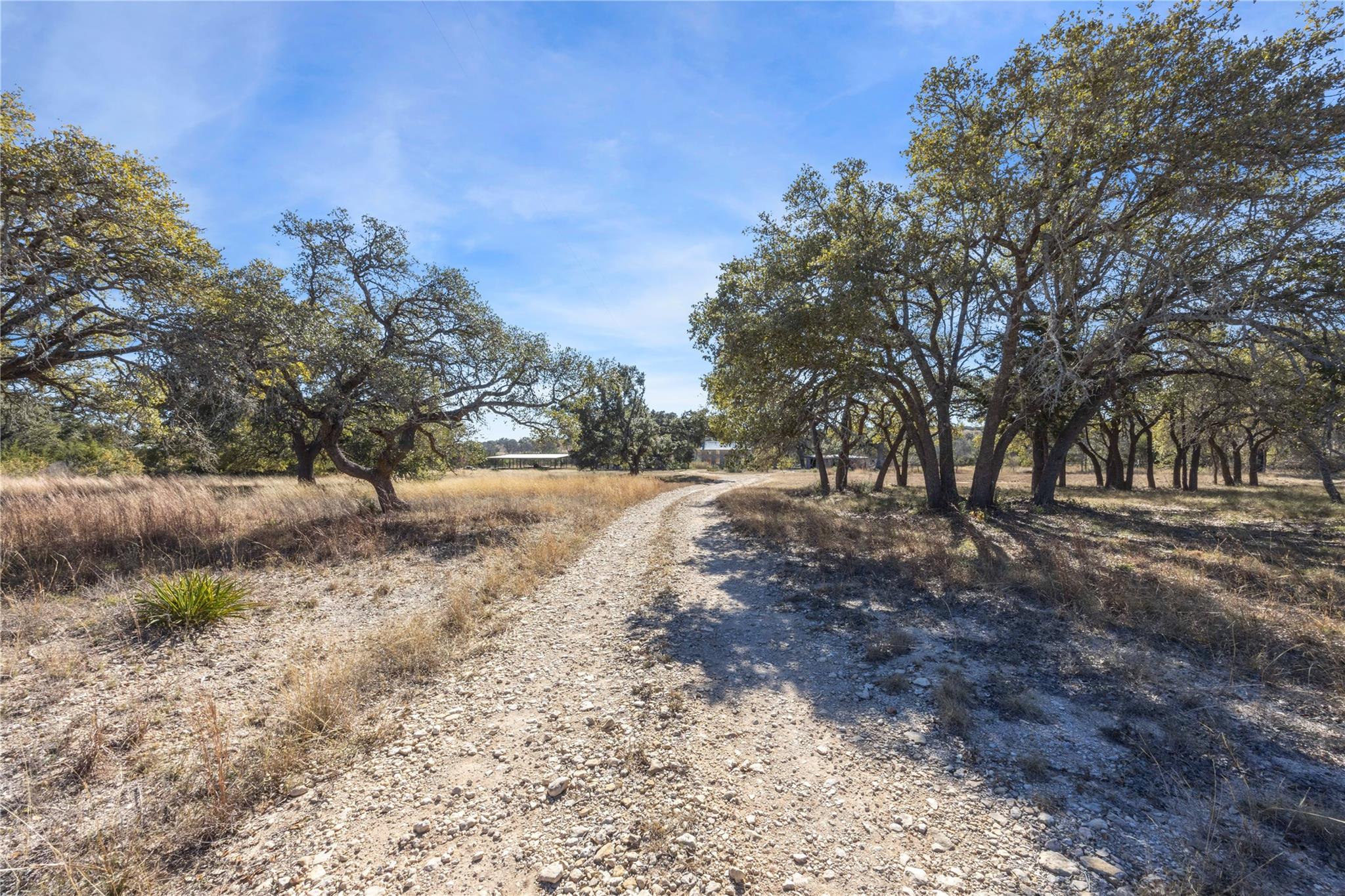 1037 Ranch Road 962 Property Photo 3
