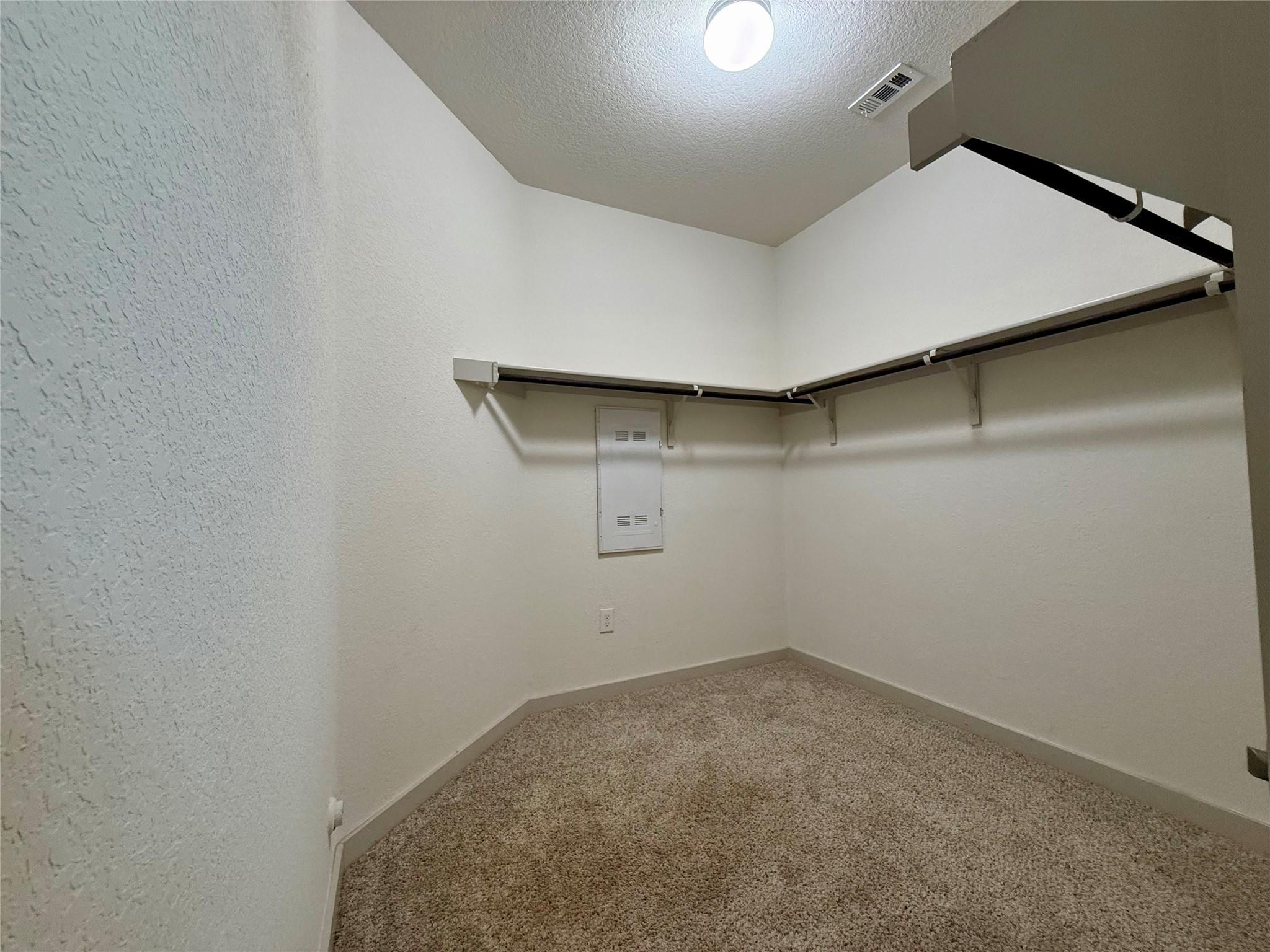 160 Filifera Ct Property Photo 20