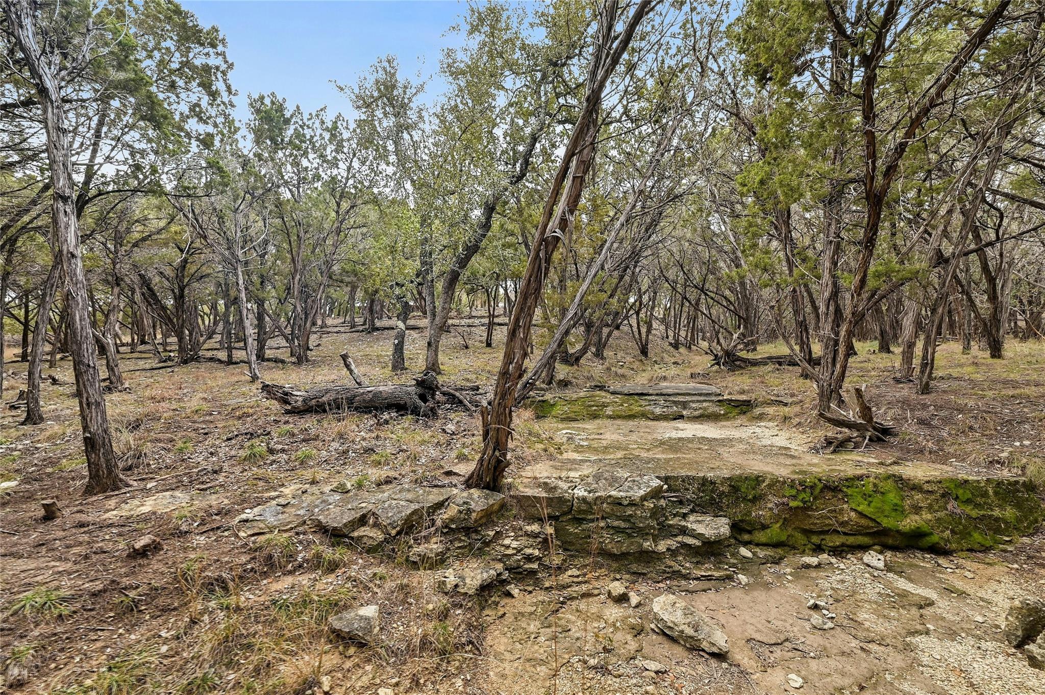 Lot7and8 Plant Lady Ln Property Photo 29