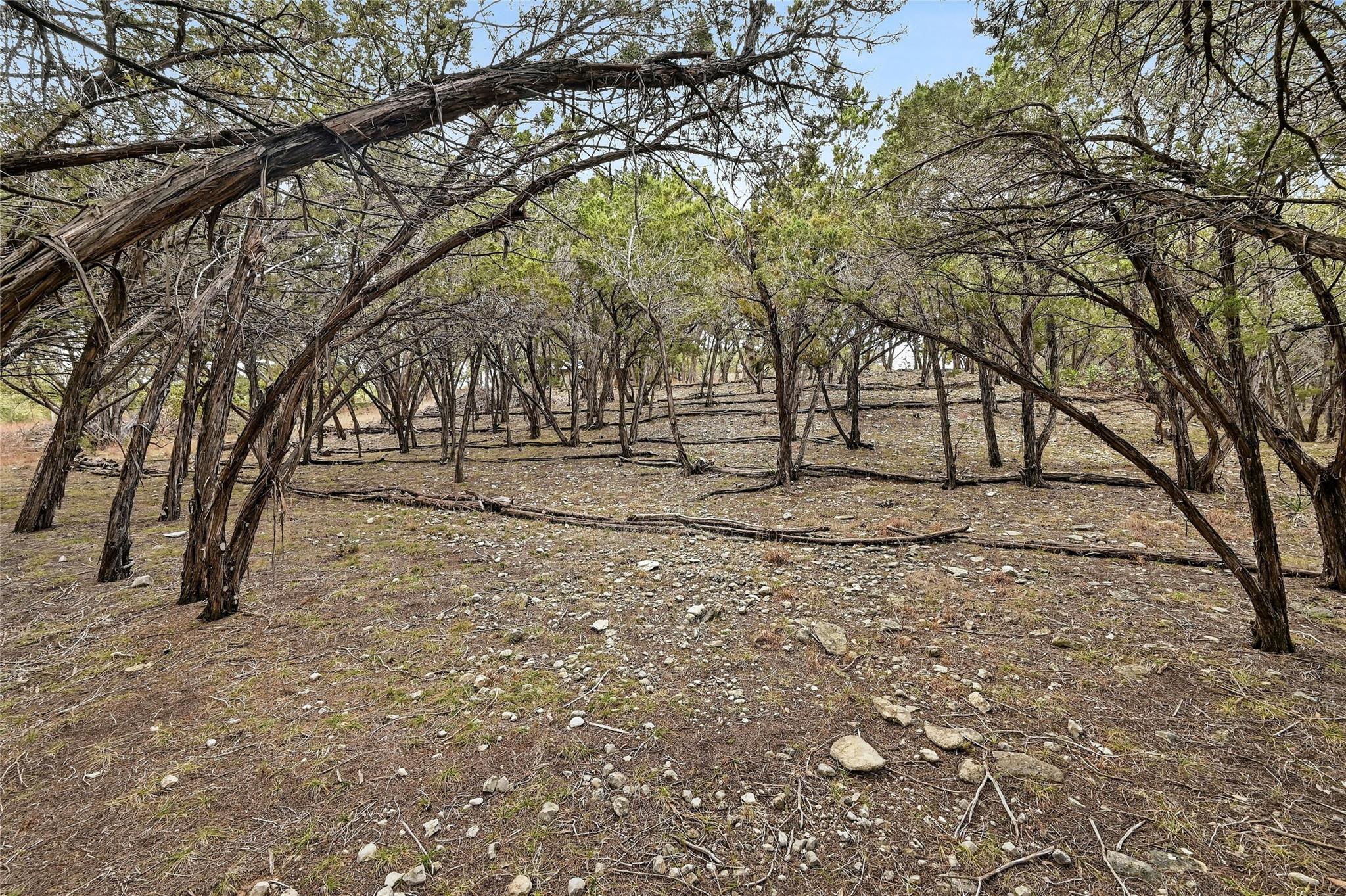 Lot7and8 Plant Lady Ln Property Photo 30