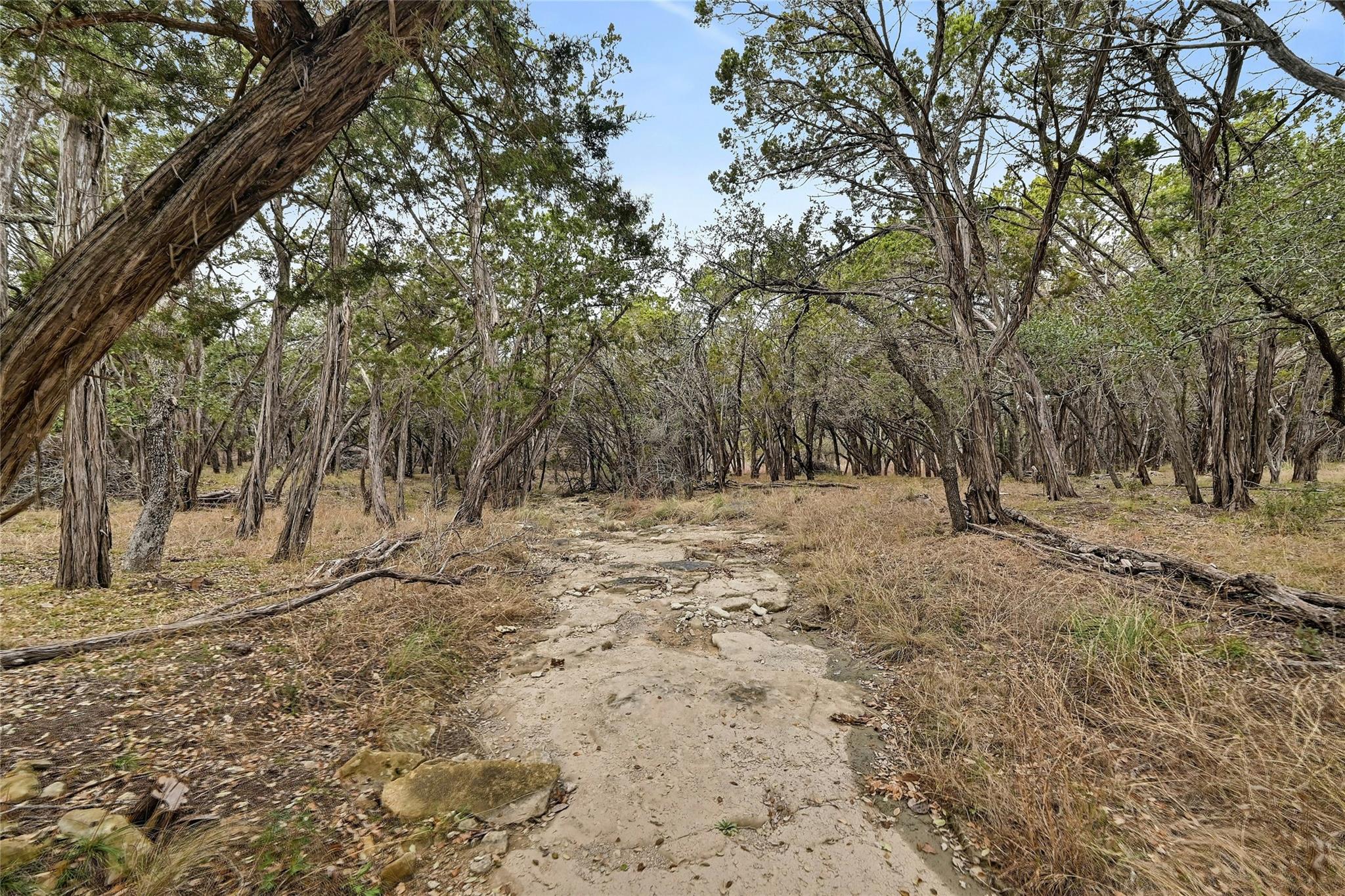 Lot7and8 Plant Lady Ln Property Photo 34