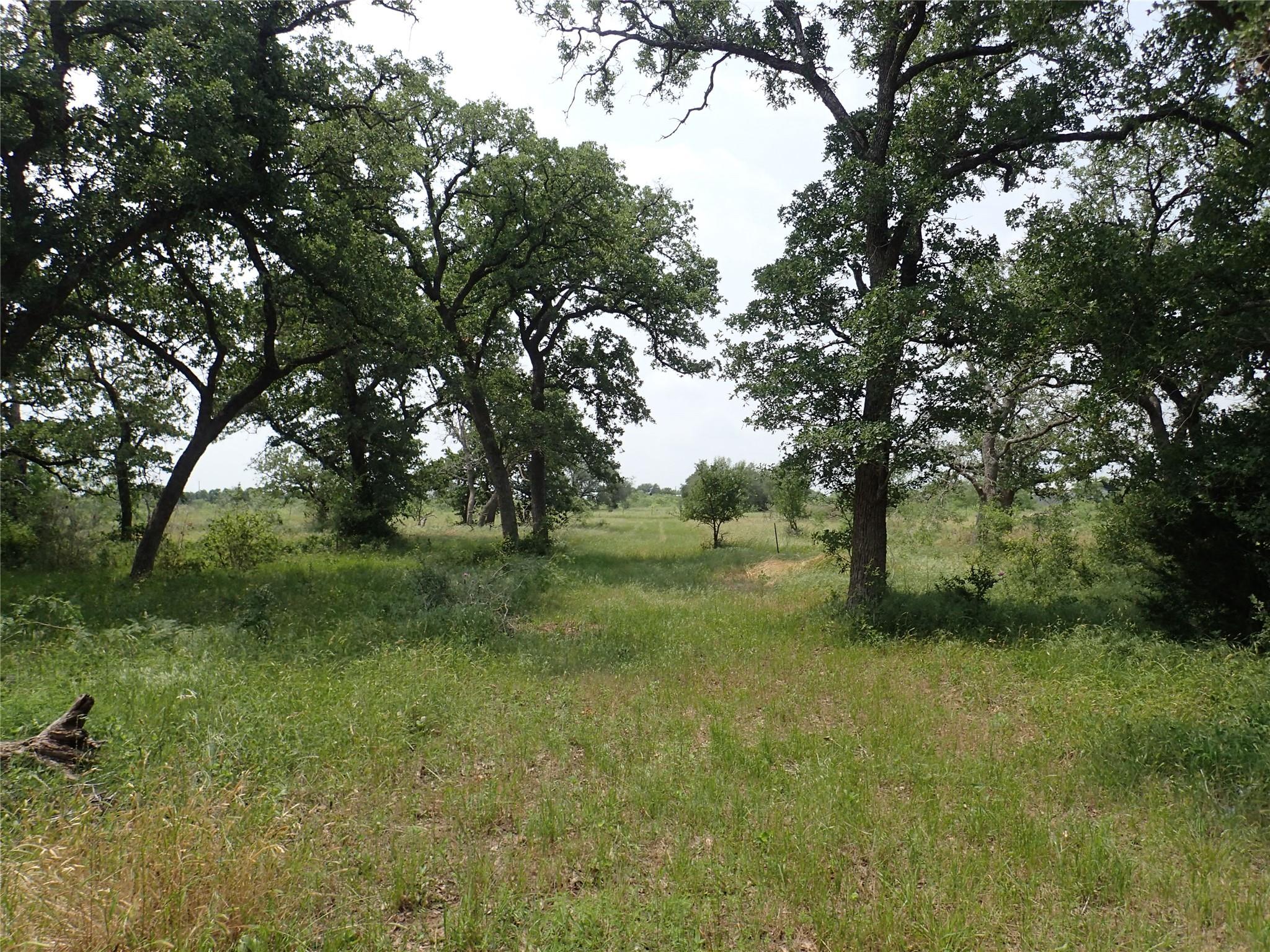 1140 Chalk Rd Property Photo 1