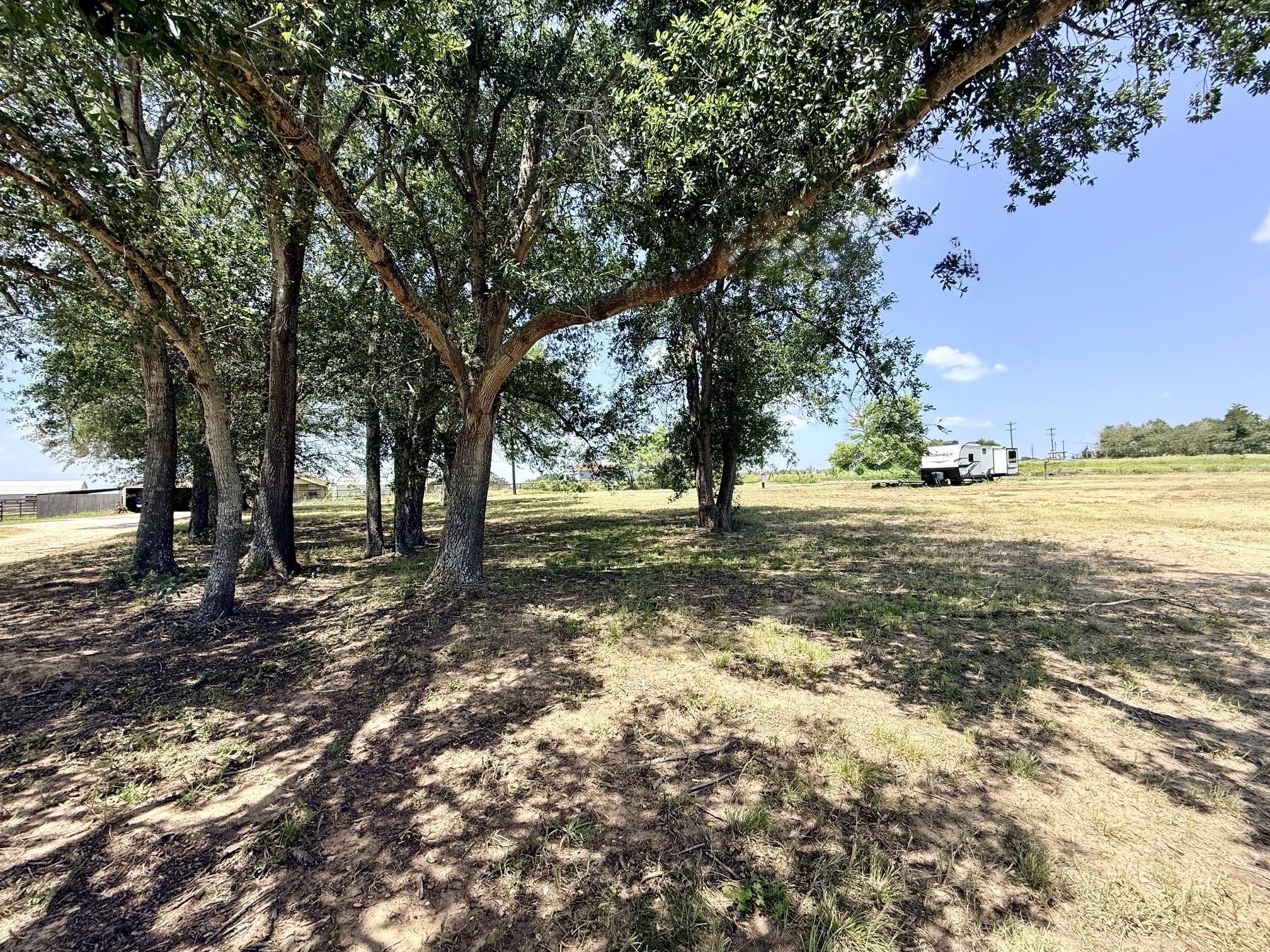 10901 County Road 367 None Property Photo 1