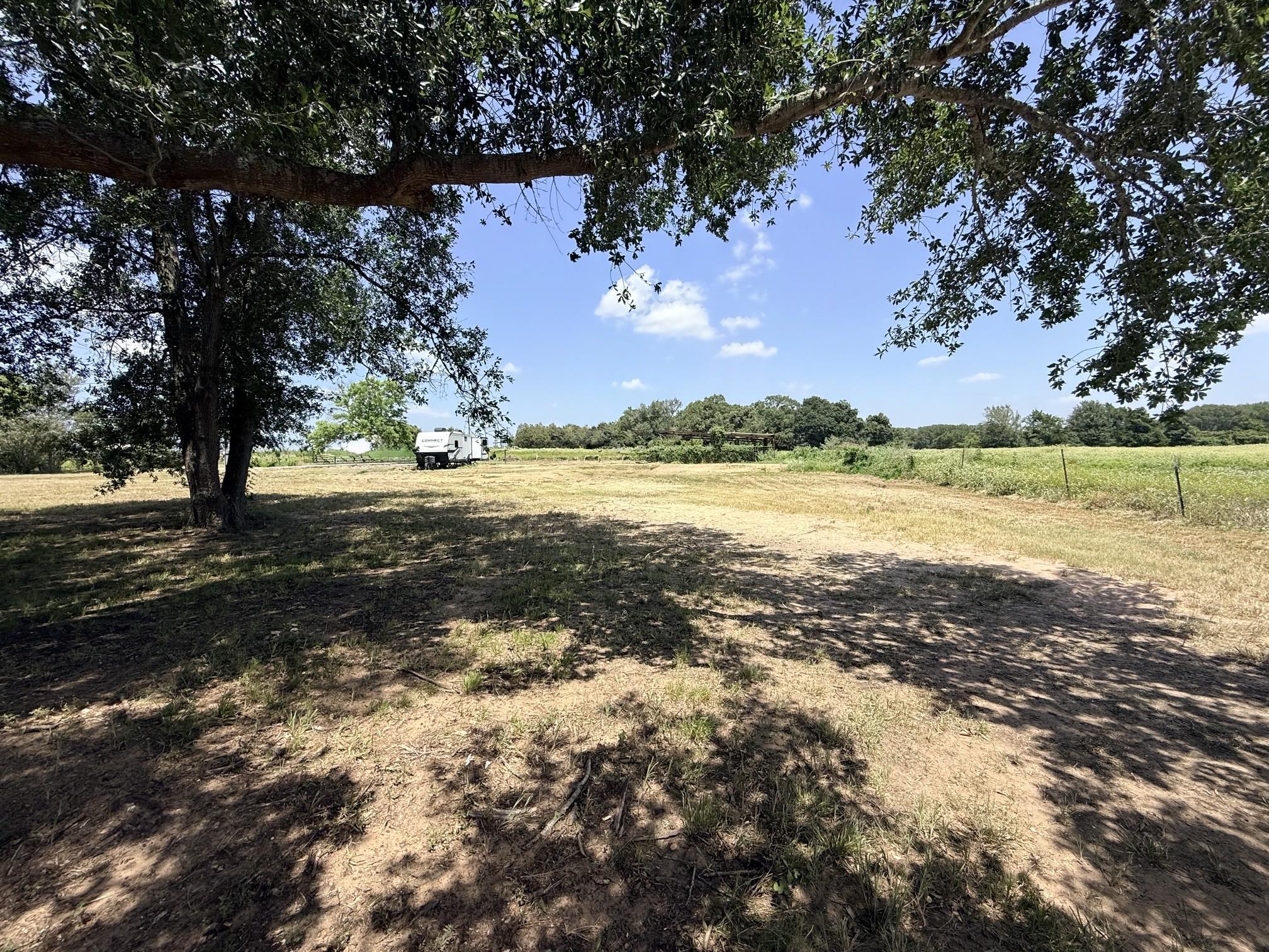 10901 County Road 367 None Property Photo 3