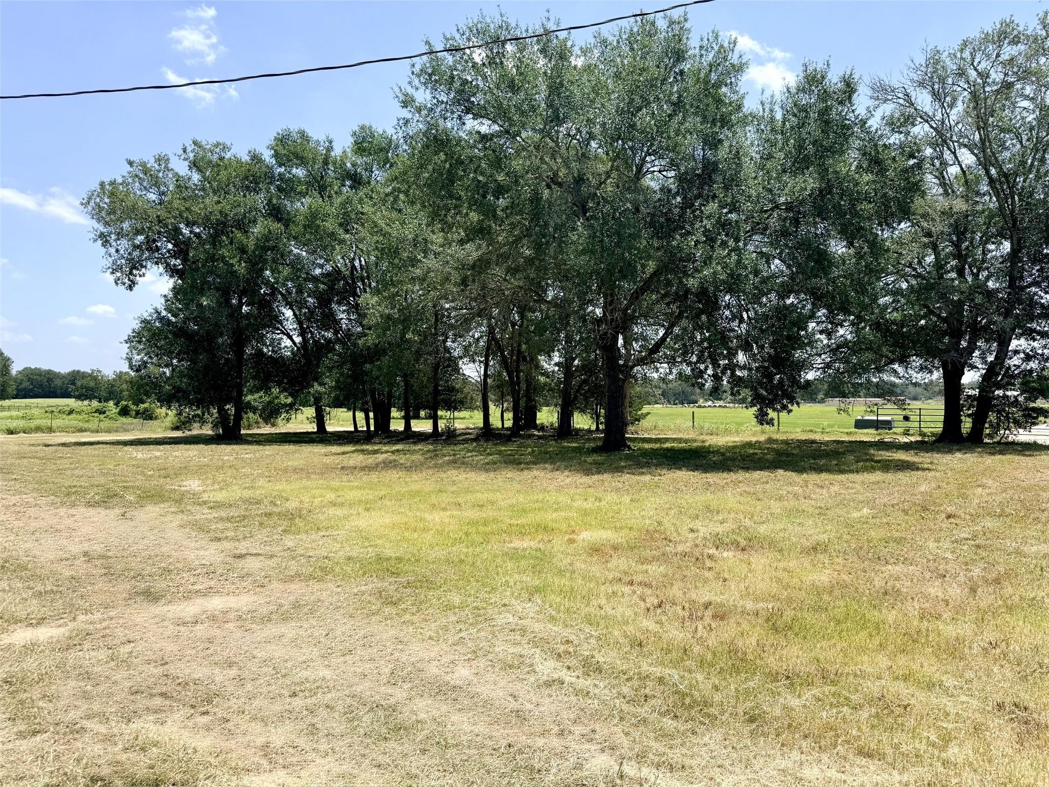 10901 County Road 367 None Property Photo 7