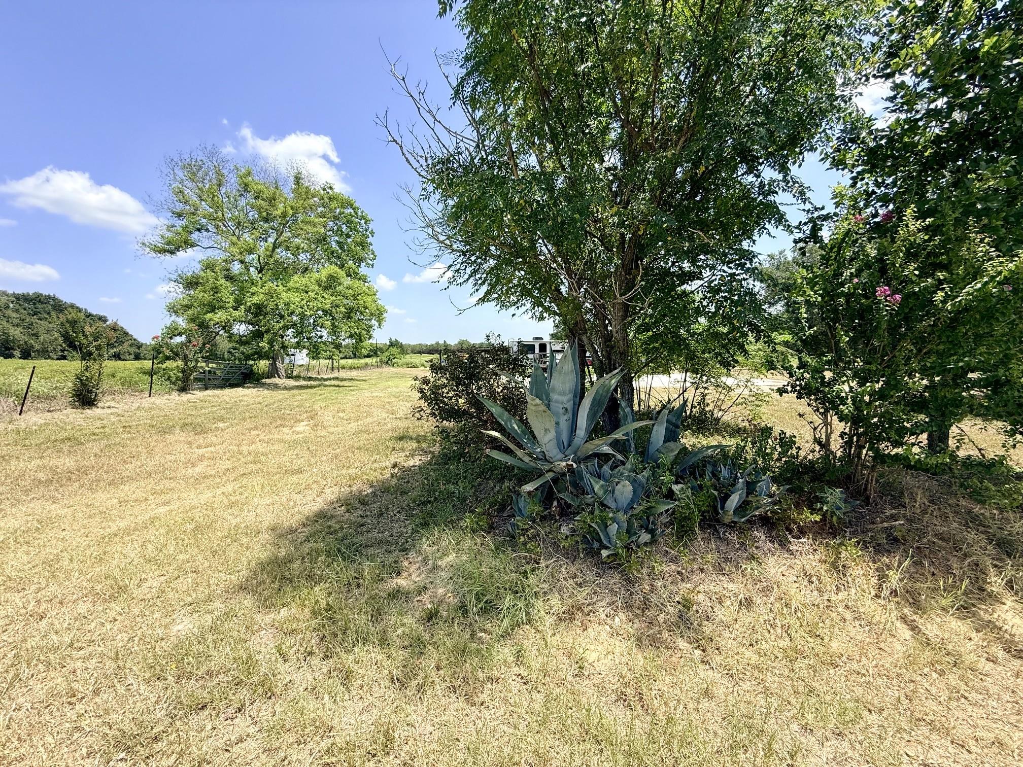 10901 County Road 367 None Property Photo 8