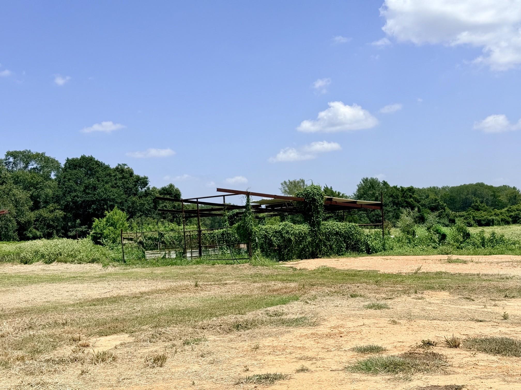 10901 County Road 367 None Property Photo 10