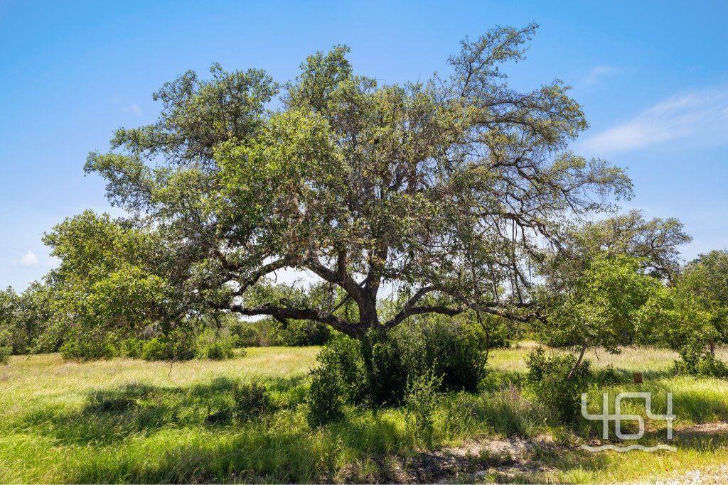 26 Coastal Loop Dr Property Photo 8