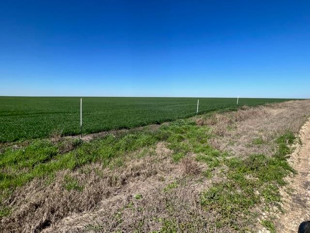 Tract 3 Cr 355 None Property Photo 2