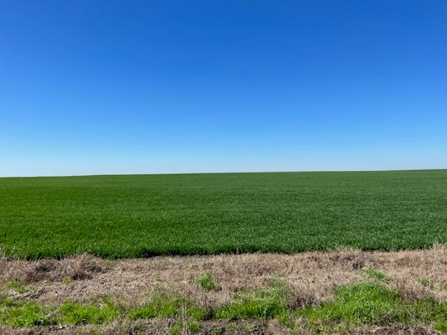 Tract 3 Cr 355 None Property Photo 3
