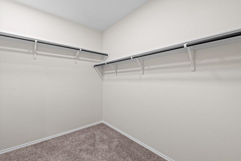 211 Highmore Ct Property Photo 18
