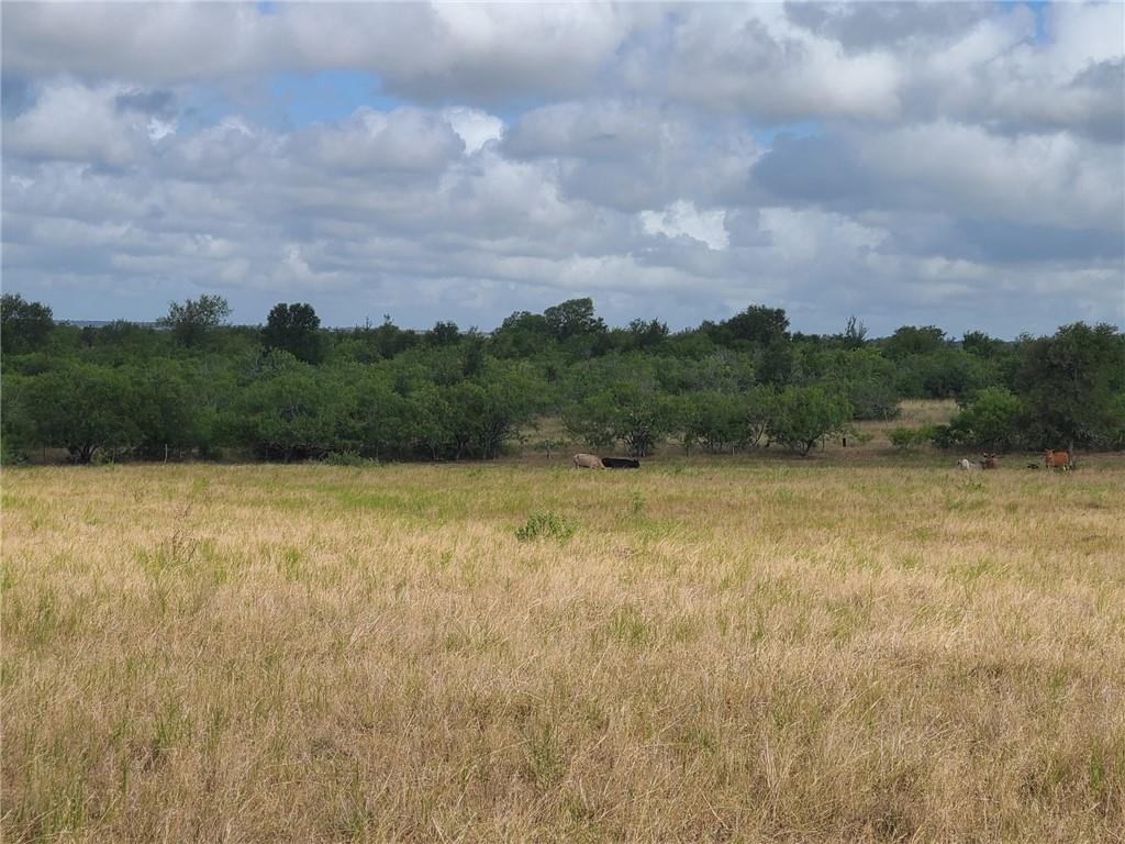 Tbd 43 Acres East County Rd 446 Property Photo 3