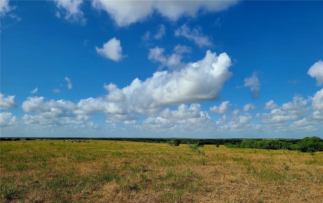 Tbd 43 Acres East County Rd 446 Property Photo 6