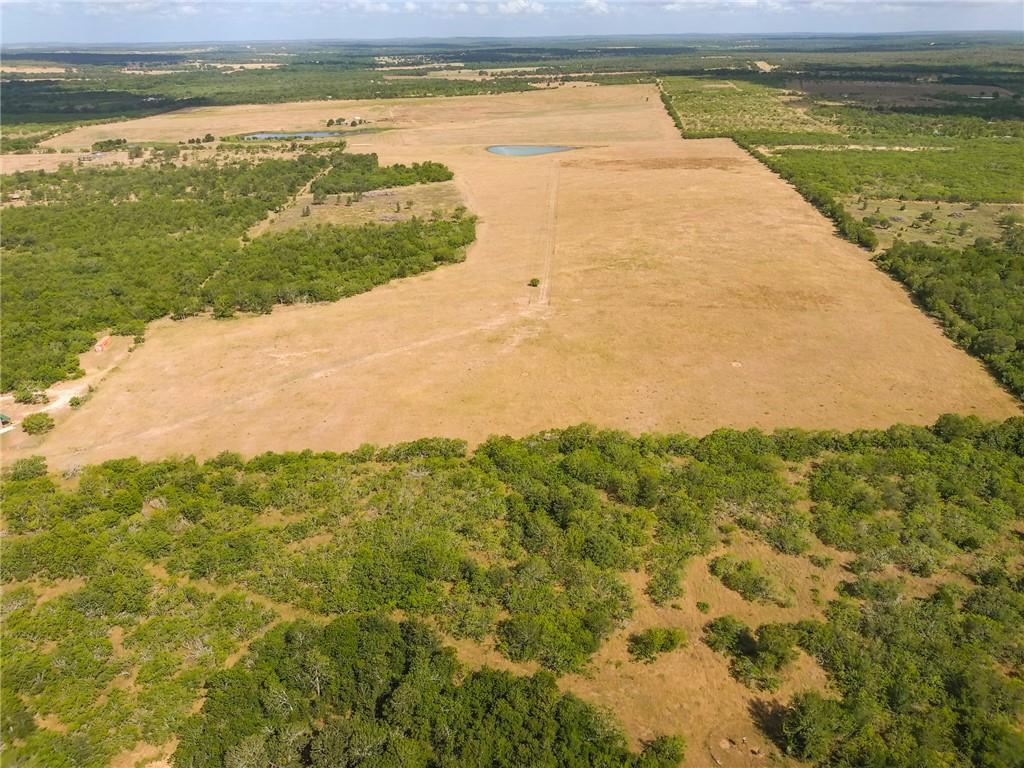 Tbd 43 Acres East County Rd 446 Property Photo 7