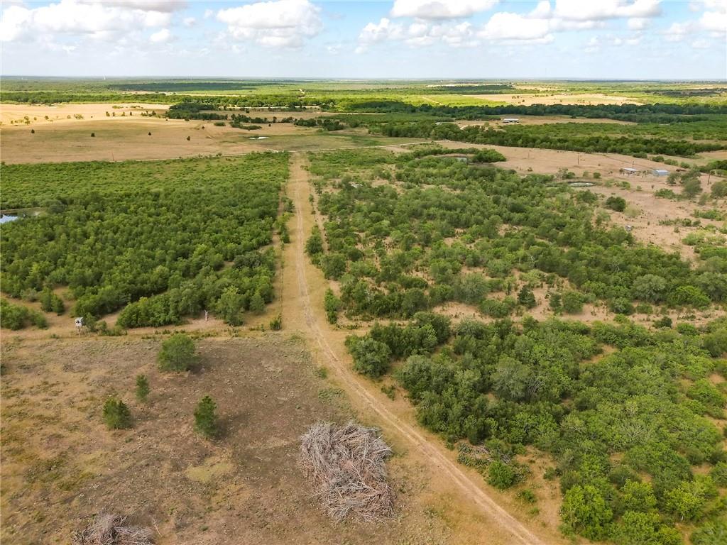 Tbd 43 Acres East County Rd 446 Property Photo 11