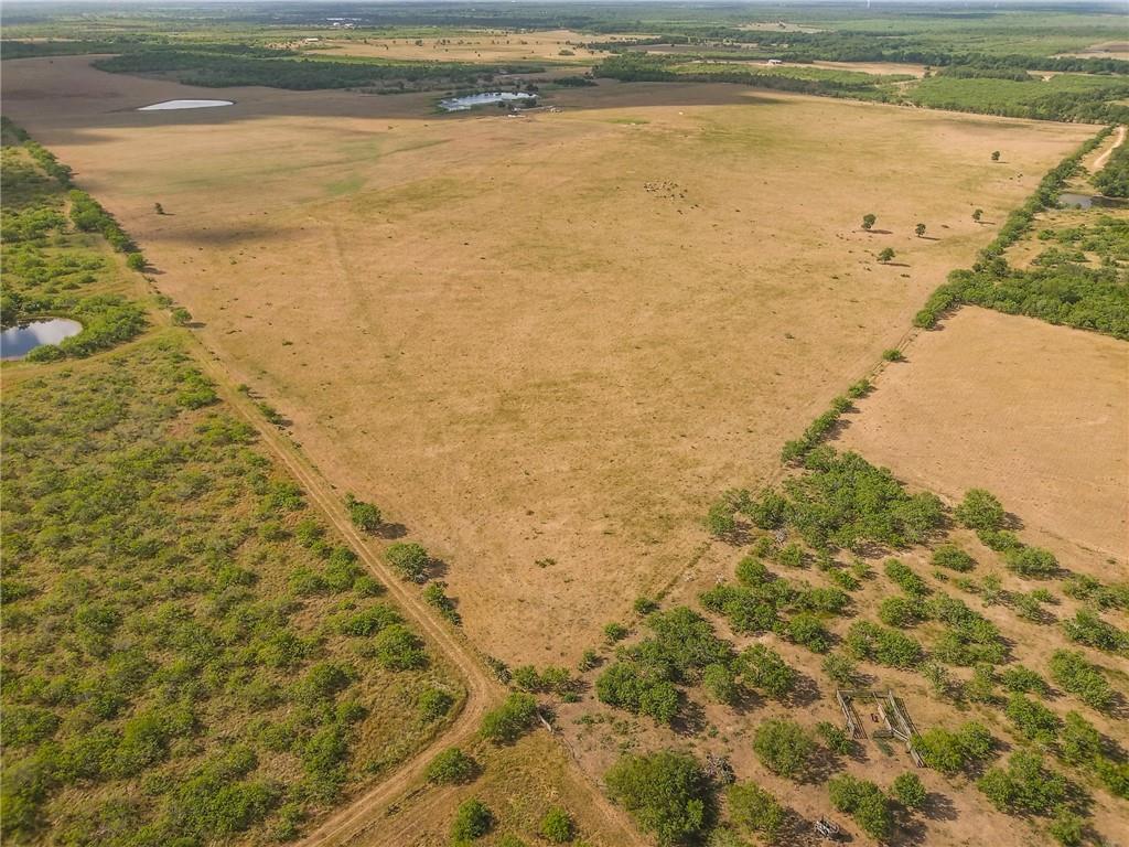 Tbd 43 Acres East County Rd 446 Property Photo 18