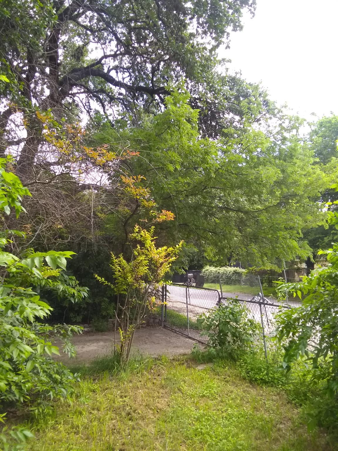 8002 Persimmon Trl Property Photo 1