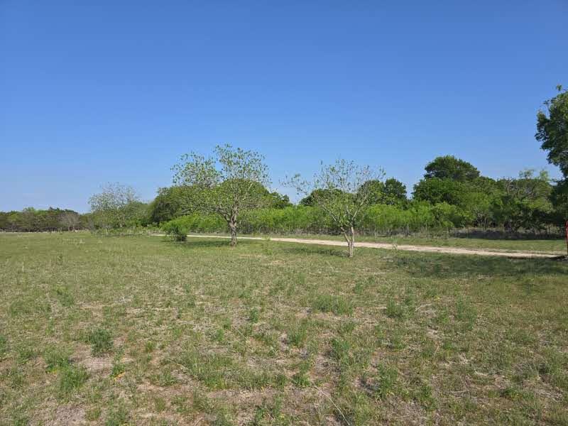 1215 County Road 340 Property Photo 5