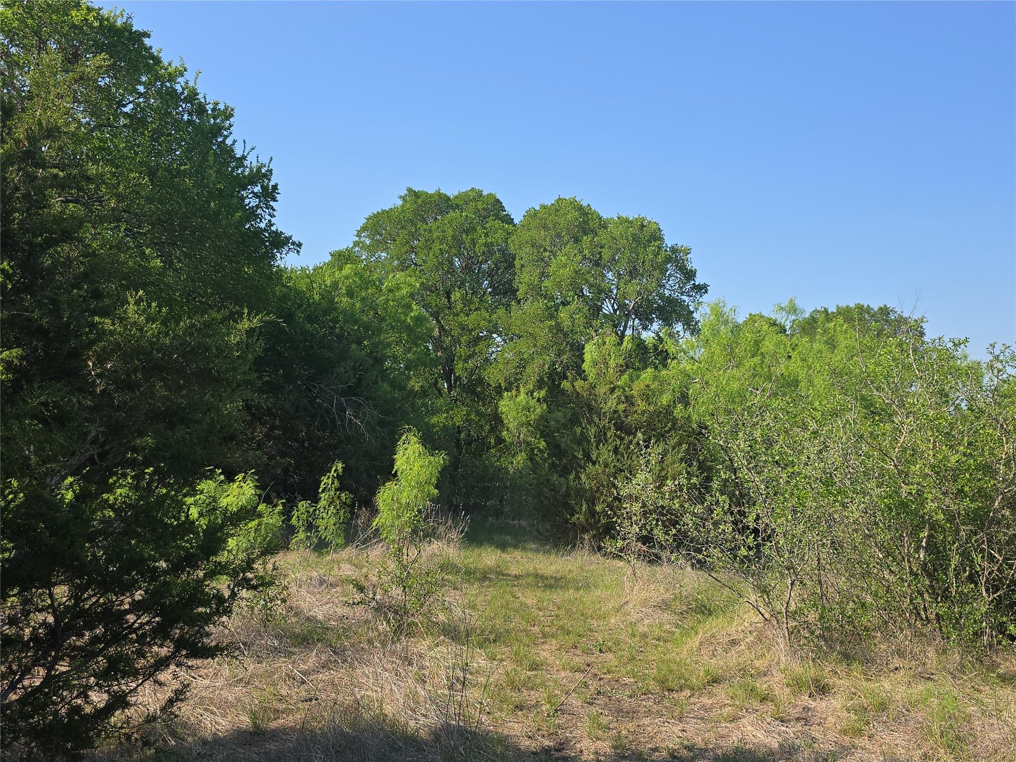 1215 County Road 340 Property Photo 33