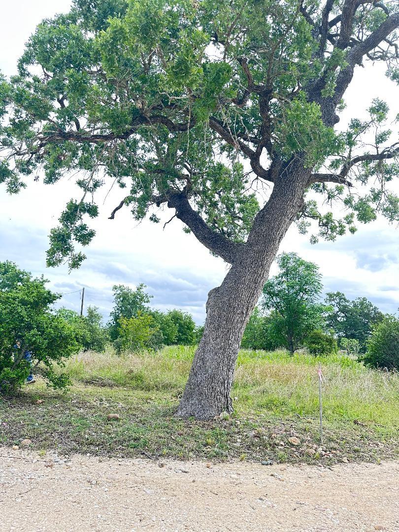 136 Wild Bird Loop Property Photo