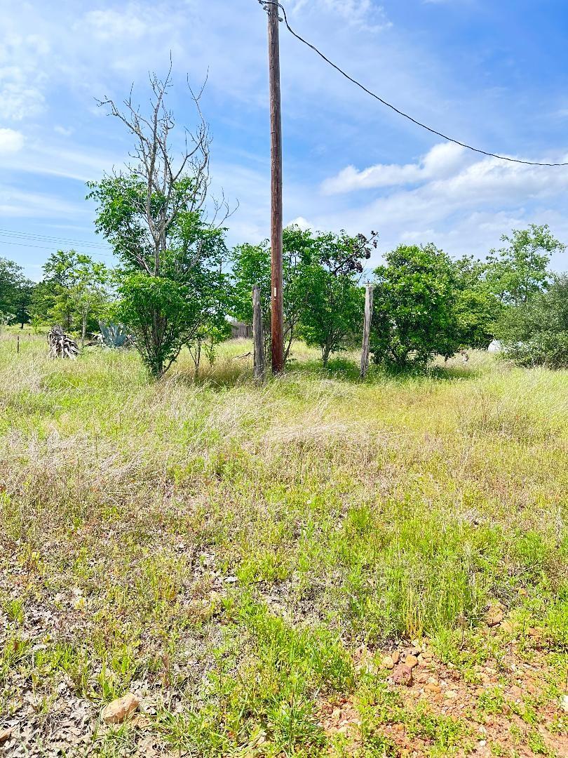 136 Wild Bird Loop Property Photo 2