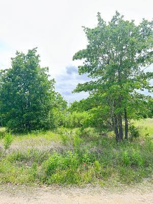 136 Wild Bird Loop Property Photo 3