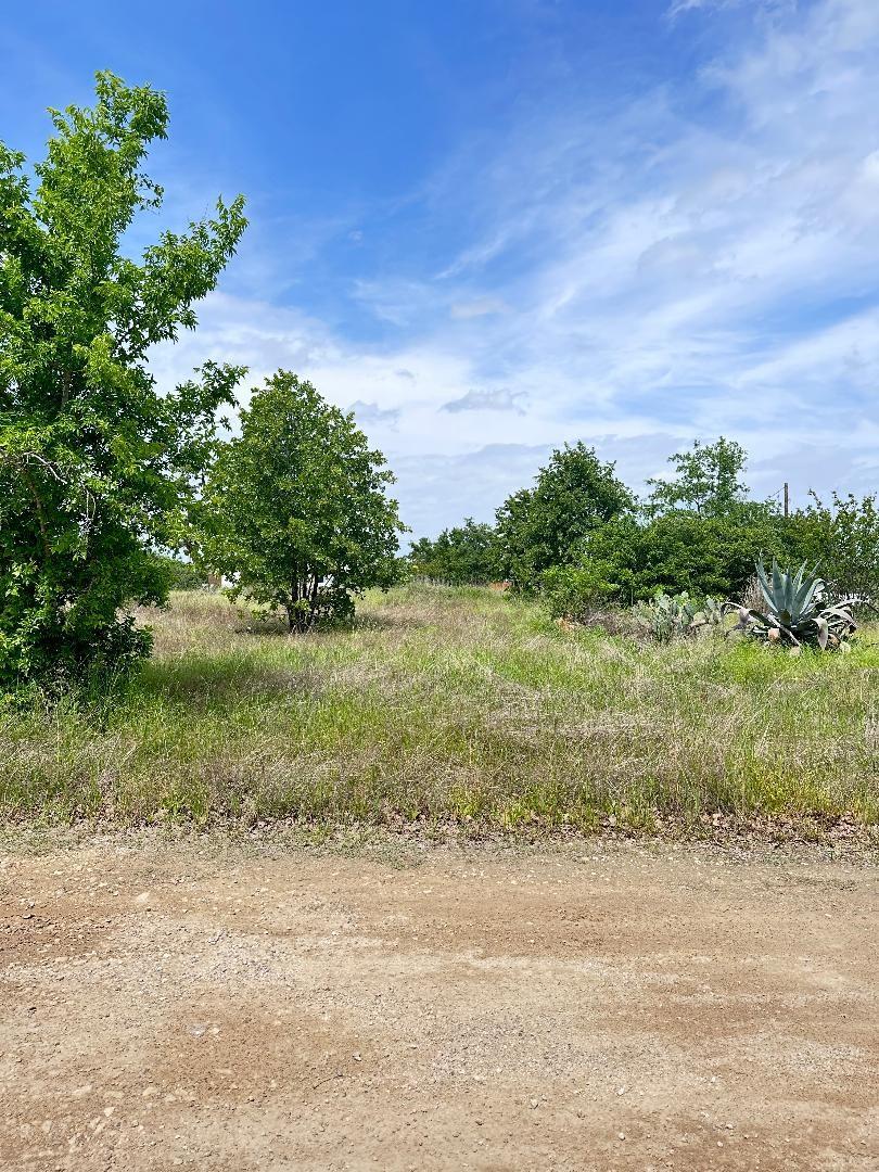 136 Wild Bird Loop Property Photo 5