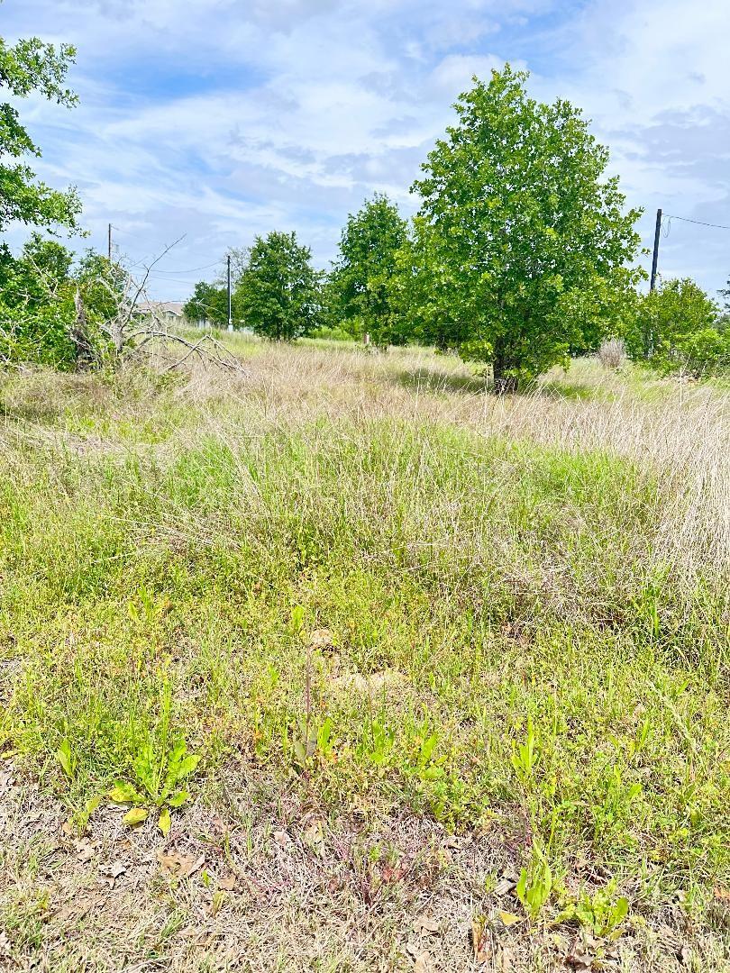 136 Wild Bird Loop Property Photo 6