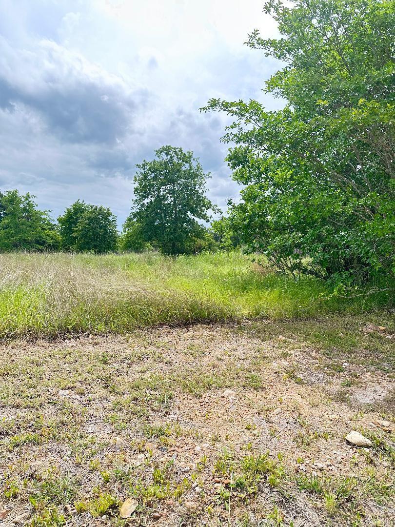 136 Wild Bird Loop Property Photo 7