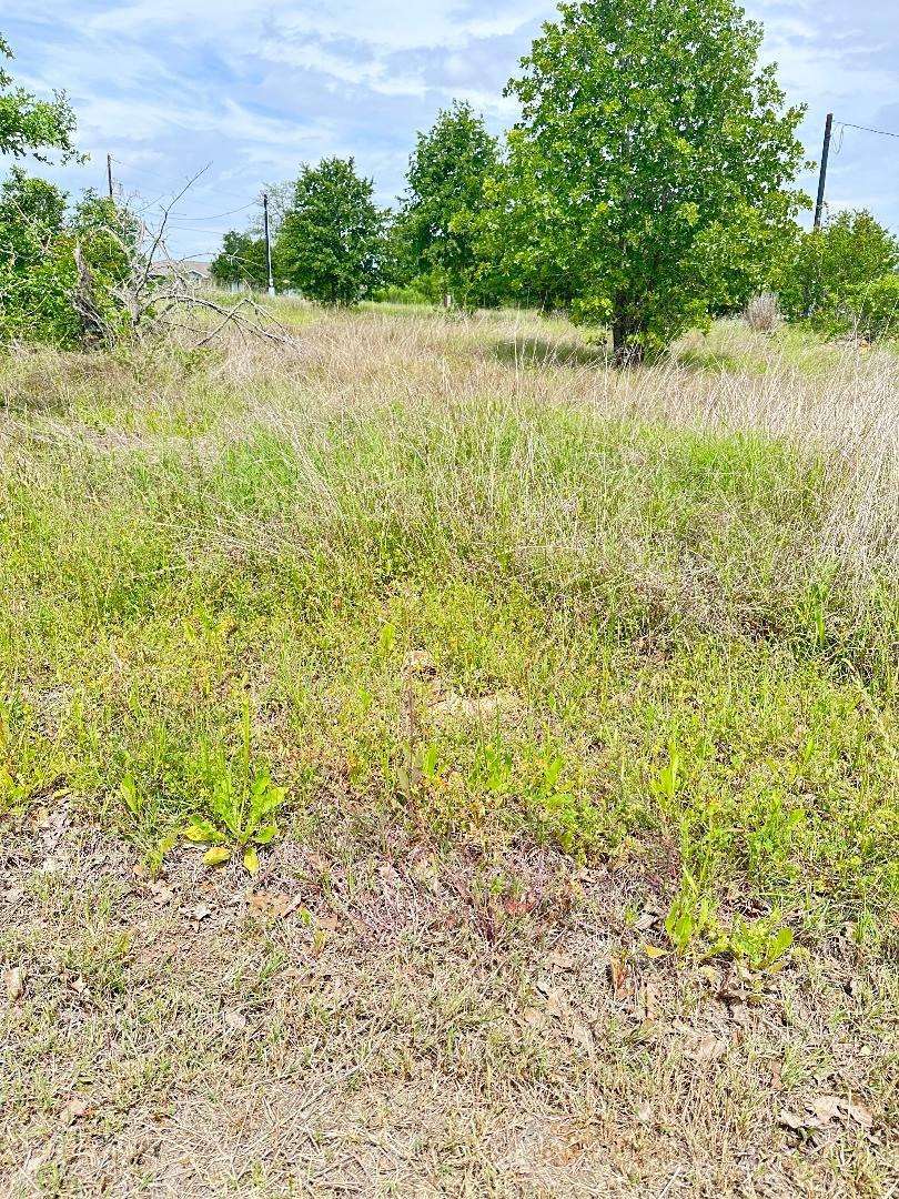 136 Wild Bird Loop Property Photo 8