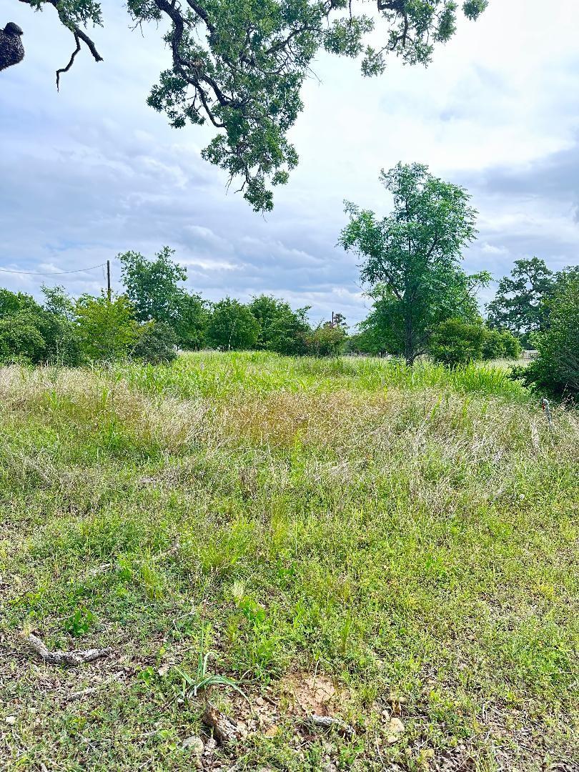 136 Wild Bird Loop Property Photo 10