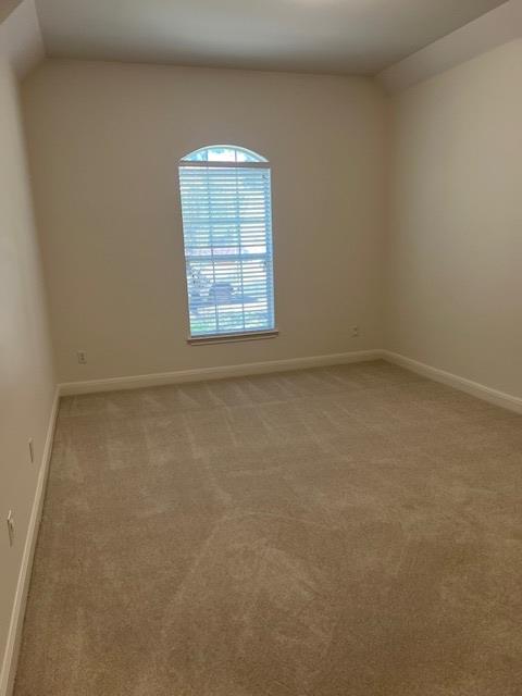 10103 Brightling Ln Property Photo 15